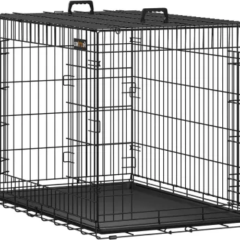 Accesorii Caini si Pisici imagine