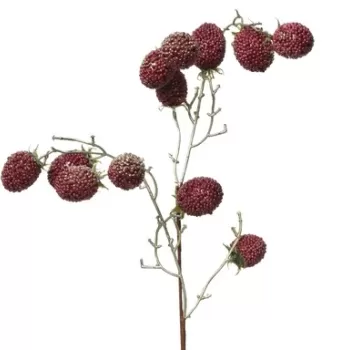 Decoratiune Blackberries, Decoris, 5x15x80 cm, spuma, rosu imagine