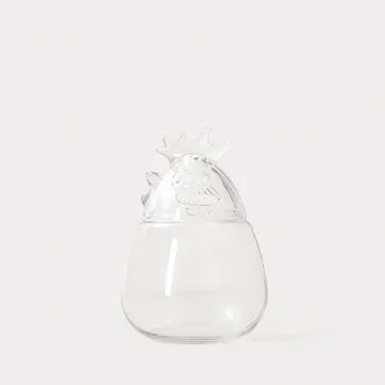 Decoratiune cocos Prata, Homla, 20x30 cm, sticla, transparent imagine