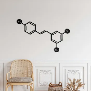 Decoratiune de perete, 5439, Metal, Dimensiuni: 75 x 47 cm, Negru imagine