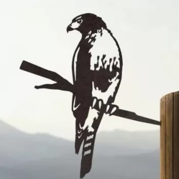 Decoratiune de perete, Hawk, Metal, Dimensiune: 25 x 33 cm, Negru imagine