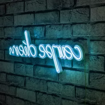 Decoratiune luminoasa LED, Carpe Diem, Benzi flexibile de neon, DC 12 V, Albastru imagine