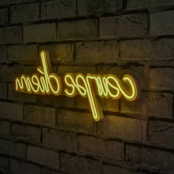 Decoratiune luminoasa LED, Carpe Diem, Benzi flexibile de neon, DC 12 V, Galben imagine