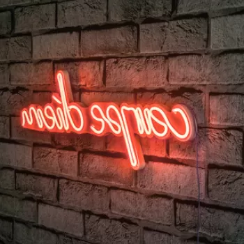Decoratiune luminoasa LED, Carpe Diem, Benzi flexibile de neon, DC 12 V, Rosu imagine