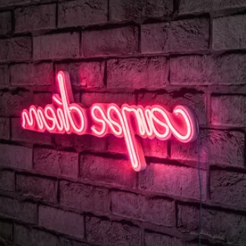 Decoratiune luminoasa LED, Carpe Diem, Benzi flexibile de neon, DC 12 V, Roz imagine