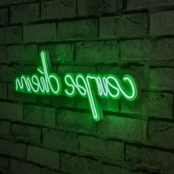 Decoratiune luminoasa LED, Carpe Diem, Benzi flexibile de neon, DC 12 V, Verde imagine