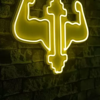 Decoratiune luminoasa LED, Gym Dumbbells WorkOut, Benzi flexibile de neon, DC 12 V, Galben imagine