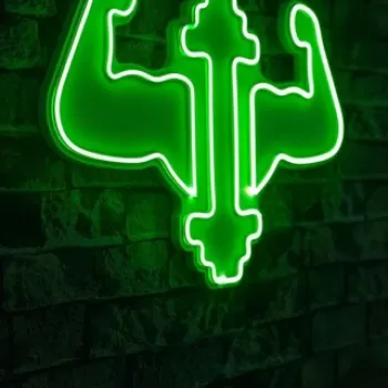Decoratiune luminoasa LED, Gym Dumbbells WorkOut, Benzi flexibile de neon, DC 12 V, Verde imagine