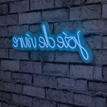 Decoratiune luminoasa LED, Joie de Vivre, Benzi flexibile de neon, DC 12 V, Albastru imagine