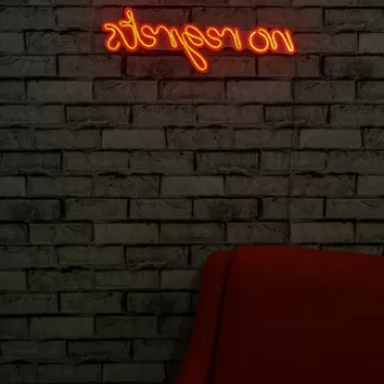 Decoratiune luminoasa LED, No Regrets, Benzi flexibile de neon, DC 12 V, Rosu imagine