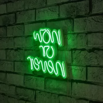 Decoratiune luminoasa LED, Now or Never, Benzi flexibile de neon, DC 12 V, Verde imagine