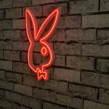 Decoratiune luminoasa LED, Playboy, Benzi flexibile de neon, DC 12 V, Rosu imagine