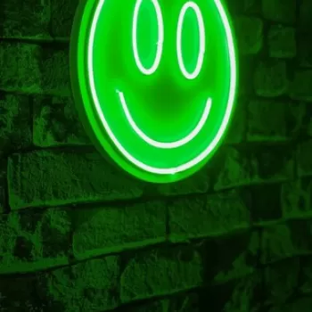 Decoratiune luminoasa LED, Smiley, Benzi flexibile de neon, DC 12 V, Verde imagine