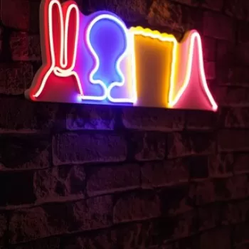 Decoratiune luminoasa LED, Sponge Team , Benzi flexibile de neon, DC 12 V, Multicolor imagine