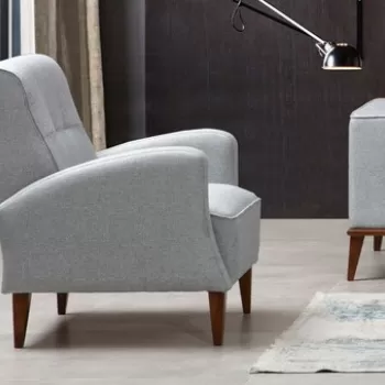 Fotoliu, Artie, 560ARE1701, Lemn de fag / PAL, Gri imagine