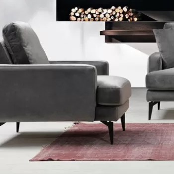 Fotoliu, Artie, 560ARE1704, Lemn de fag / PAL, Antracit imagine