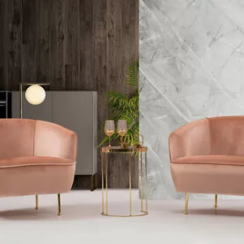 Fotoliu, Artie, 560ARE1717, Lemn de fag / PAL, Roz imagine