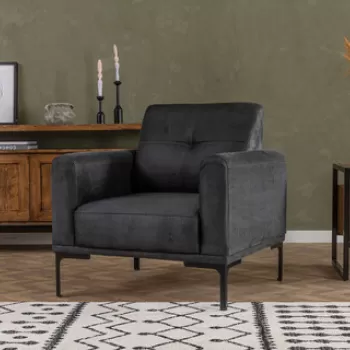 Fotoliu, Artie, 560ARE1733, Lemn de fag / PAL, Antracit imagine