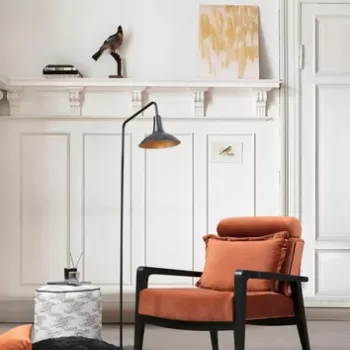 Fotoliu, Hilena, 859FTN1740, Lemn de fag, Scortisoara imagine