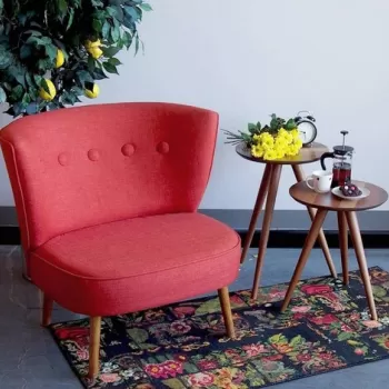 Fotoliu, Zeon, 558ZEN1109, Lemn, Caramiziu imagine