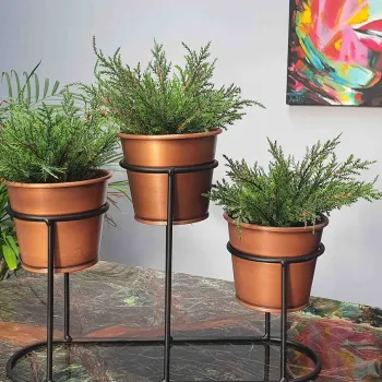 Accesorii & Obiecte decorative gradina imagine