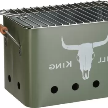 Gratar dreptunghiular Grill King, 32x20x20 cm, zinc, verde imagine