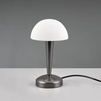 Lampa de masa Canaria, RL, 15x26.5 cm, 40W, 1x E14, metal, argintiu/alb imagine