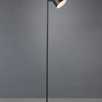 Lampadar Blake, RL, 20x125 cm, 5W, 1x SMD LED, metal, negru mat imagine