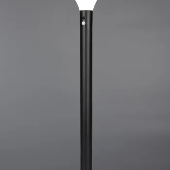 Lampadar de exterior Gorda, RL, 17.5x100 cm, 3.5W, 1x SMD, metal, negru mat imagine