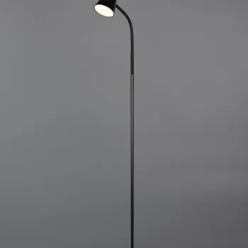 Lampadar Pongo, RL, 19.5x145 cm, 4.5W, 1x SMD, plastic, negru/natur imagine