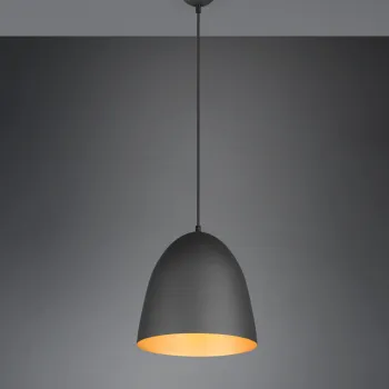 Lustra Tilda, RL, 25x150 cm, 40W, 1x E27, metal, negru/auriu imagine