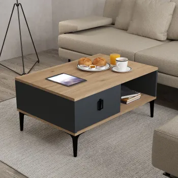 Masuta de cafea, Hanah Home, Sare 2003, 90x41.5x60 cm, PAL, Stejar safir / Antracit imagine