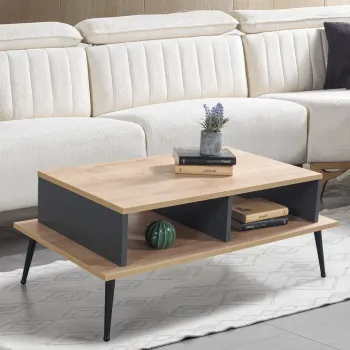 Masuta de cafea, Hanah Home, Sile 2009, 100x40x56 cm, PAL, Stejar safir / Antracit imagine