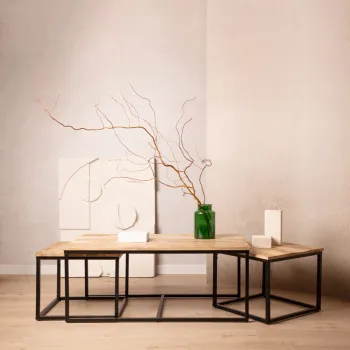 Masuta de cafea Maya, Homla, 110x60x45cm/50x50x40 cm, lemn/otel, natur/negru imagine