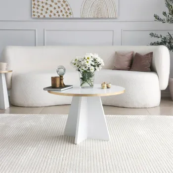 Masuta de cafea, Neostill, Mushroom, 60x40x60 cm, PAL, Aur/Alb imagine