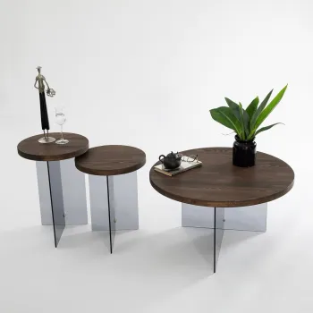 Masuta de cafea, Neostill, Serenity, 70x40 cm, Sticla temperata, Nuc / Gri inchis imagine