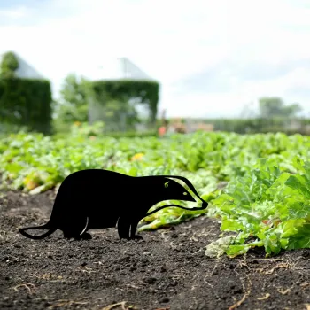 Obiect decorativ de gradina, Badger 01, 32x45 cm, Negru imagine