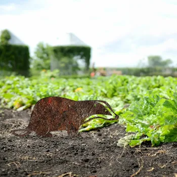 Obiect decorativ de gradina, Badger -A 01, 32x45 cm, Multicolor imagine