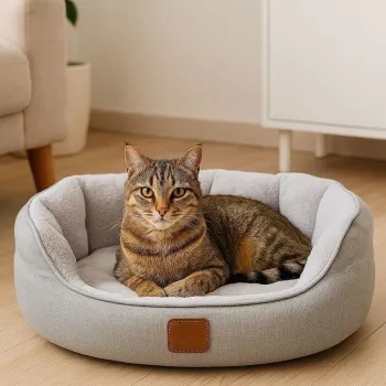 Pat pentru animale de companie, Paws & Whiskers, Coco L, Material exterior: 100% poliester, Gri imagine