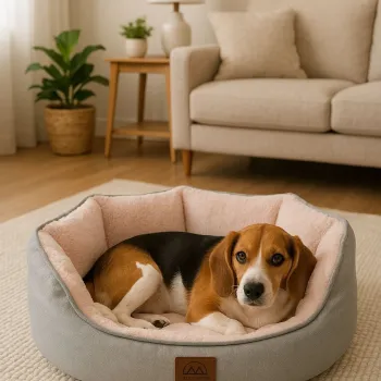 Pat pentru animale de companie, Paws & Whiskers, Coco M, Material exterior: 100% poliester, Roz imagine