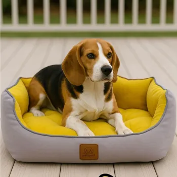 Pat pentru animale de companie, Paws & Whiskers, Coco Summer L, Material exterior: 100% poliester, Galben imagine