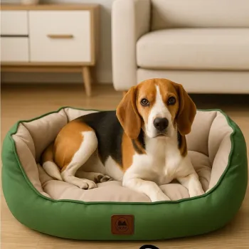 Pat pentru animale de companie, Paws & Whiskers, Coco Summer L, Material exterior: 100% poliester, Verde imagine