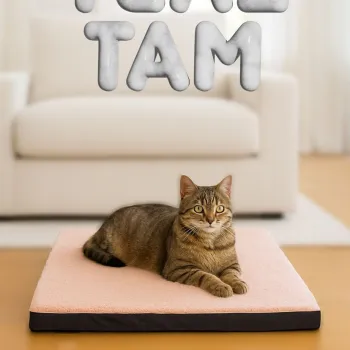 Pat pentru animale de companie, Paws & Whiskers, Easy Mat 80 x 100, Material exterior: 100% poliester, Roz imagine
