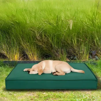 Pat pentru animale de companie, Paws & Whiskers, Eva Garden Dog XL, Material exterior: 100% poliester, Verde imagine