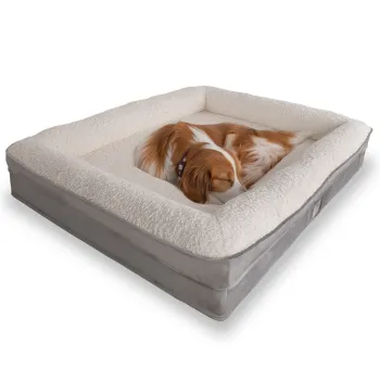 Pat pentru animale de companie, Paws & Whiskers, Felix Dog L, Material exterior: 100% poliester, Gri/Alb imagine