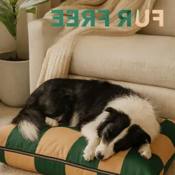 Pat pentru animale de companie, Paws & Whiskers, Fur Free 64 x 88, Material exterior: 100% poliester, Verde / Bej imagine