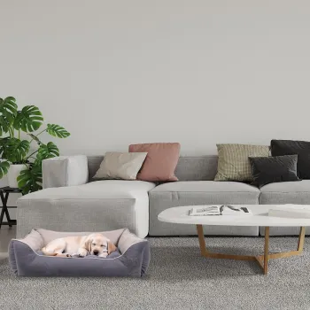 Pat pentru animale de companie, Paws & Whiskers, Lucy Dog & Cat S, Material exterior: 100% poliester, Gri / Gri deschis imagine