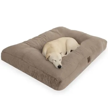 Pat pentru animale de companie, Paws & Whiskers, Max Dog 50 x 60, Material exterior: 100% poliester, Bej imagine