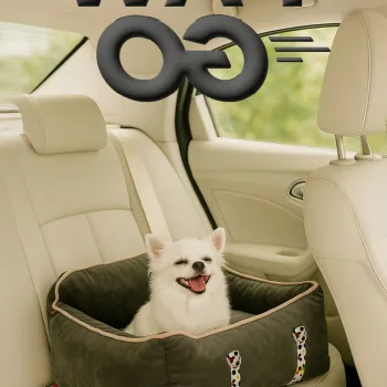 Pat pentru animale de companie, Paws & Whiskers, Paw Go, Material exterior: 100% poliester, Antracit imagine