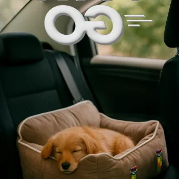 Pat pentru animale de companie, Paws & Whiskers, Paw Go, Material exterior: 100% poliester, Bej imagine